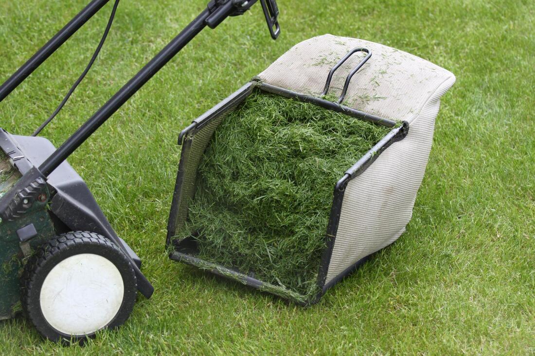 mowing the grass on the yard